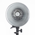 Студийная вспышка Falcon Eyes DE-300BW